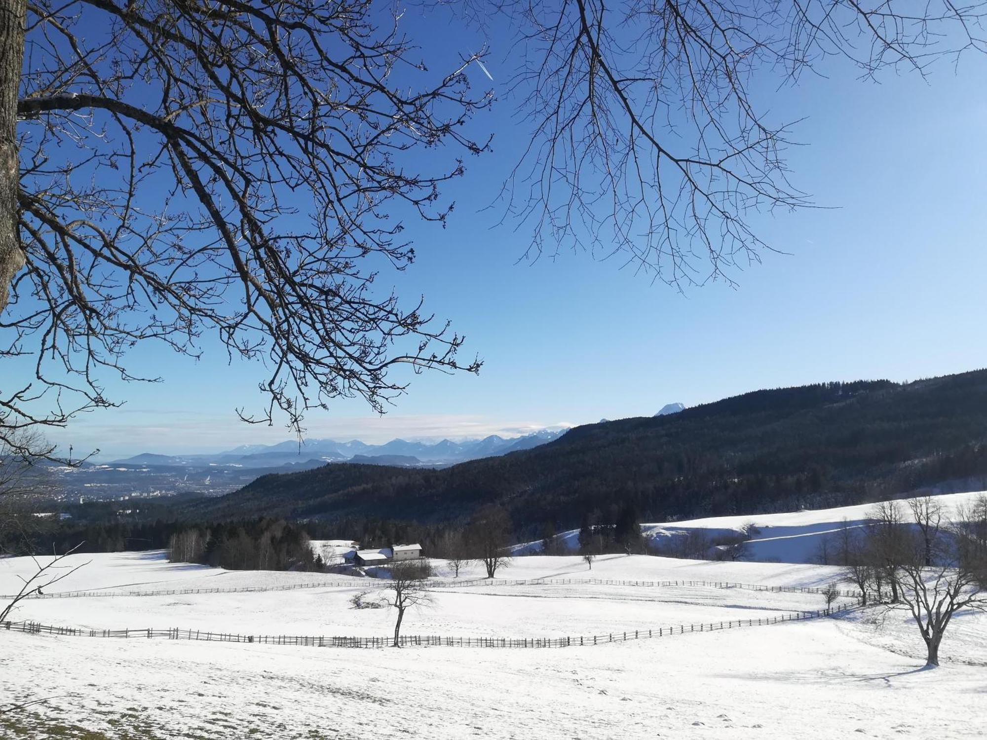 Casableiberg - Garten Apartment - Naturpark Dobratsch Bad Bleiberg Exteriör bild